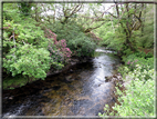 foto Parco di Killarney